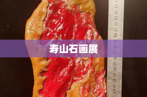 壽山石畫展