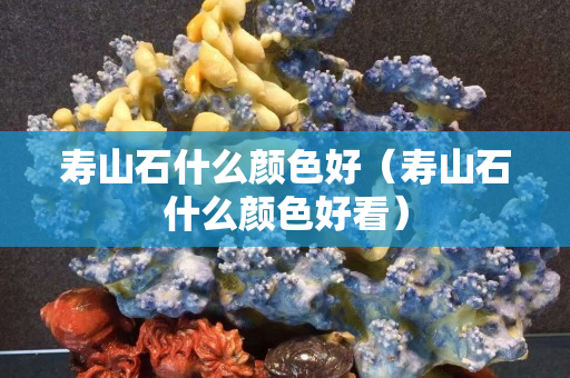 壽山石什么顏色好（壽山石什么顏色好看）