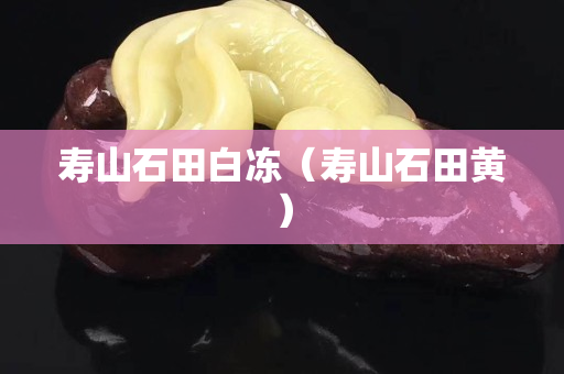 壽山石田白凍（壽山石田黃）