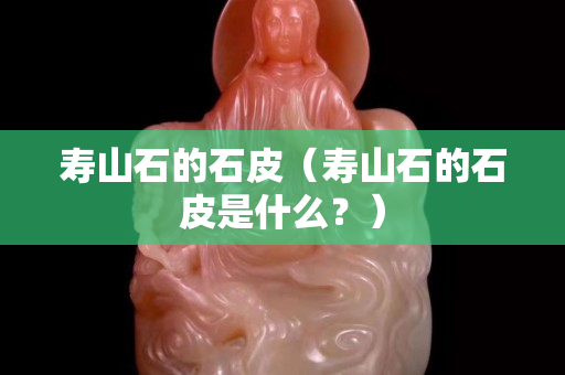 壽山石的石皮（壽山石的石皮是什么？）