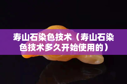 壽山石染色技術(shù)（壽山石染色技術(shù)多久開始使用的）