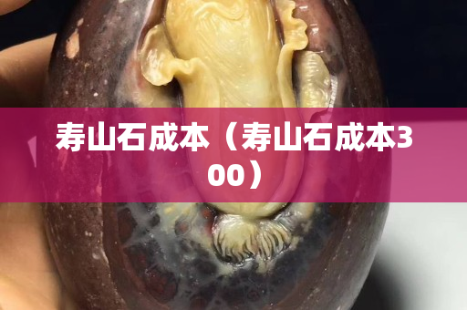 壽山石成本（壽山石成本300）