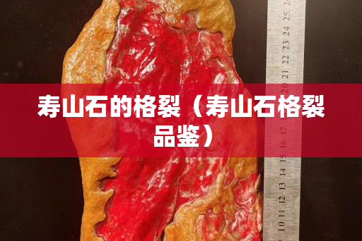 壽山石的格裂（壽山石格裂品鑒）