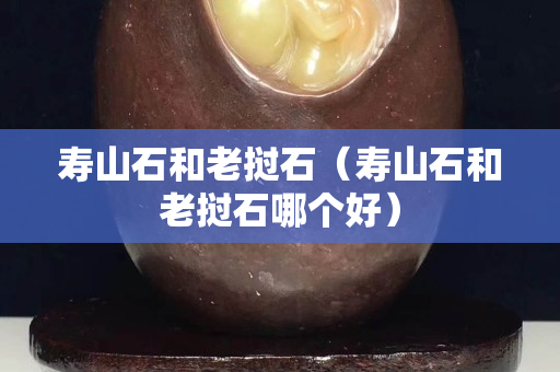壽山石和老撾石（壽山石和老撾石哪個好）