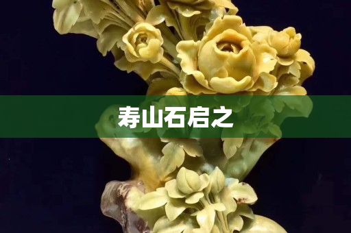 壽山石啟之