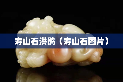 壽山石洪鵑（壽山石圖片）