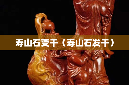 壽山石變干（壽山石發干）