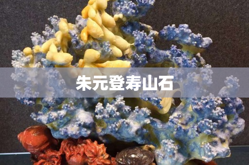 朱元登壽山石
