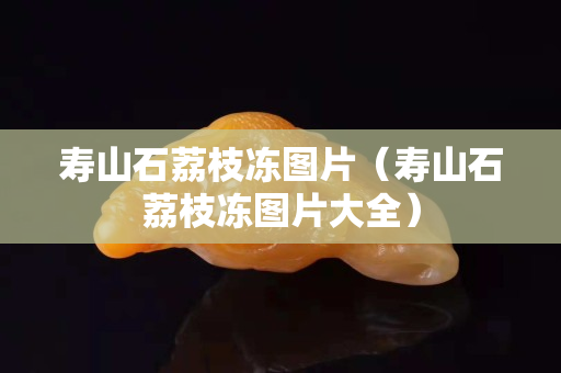 壽山石荔枝凍圖片（壽山石荔枝凍圖片大全）