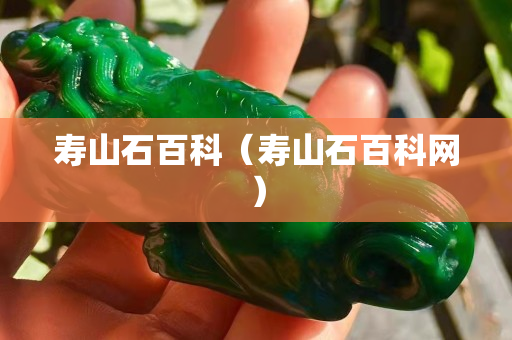 壽山石百科（壽山石百科網(wǎng)）