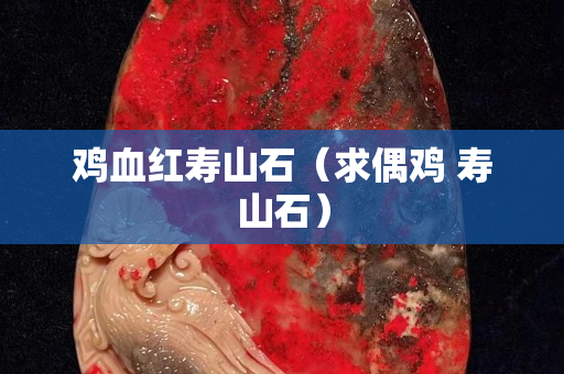 雞血紅壽山石（求偶雞 壽山石）