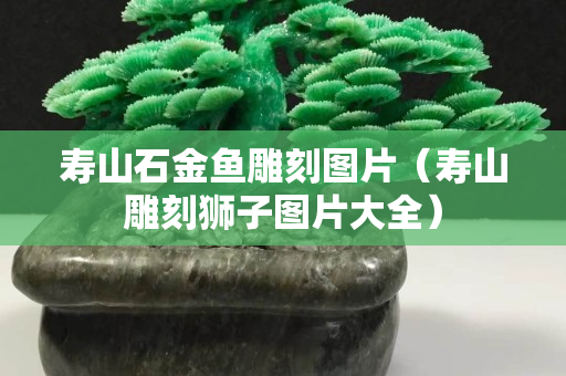 壽山石金魚雕刻圖片（壽山雕刻獅子圖片大全）
