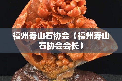 福州壽山石協(xié)會（福州壽山石協(xié)會會長）