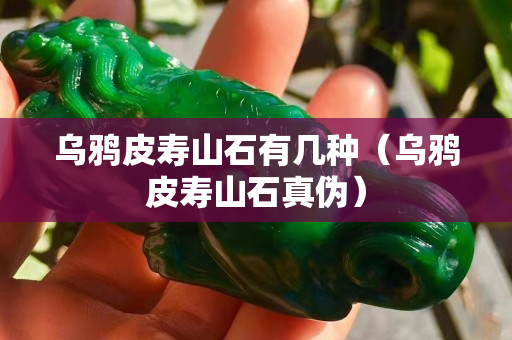烏鴉皮壽山石有幾種（烏鴉皮壽山石真偽）