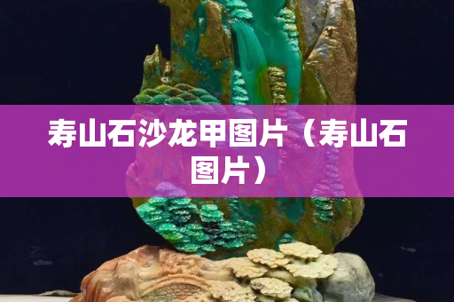 壽山石沙龍甲圖片（壽山石圖片）