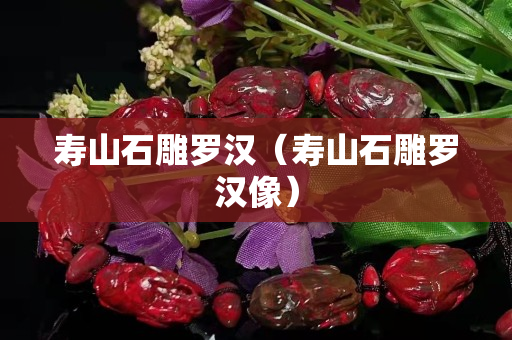 壽山石雕羅漢（壽山石雕羅漢像）