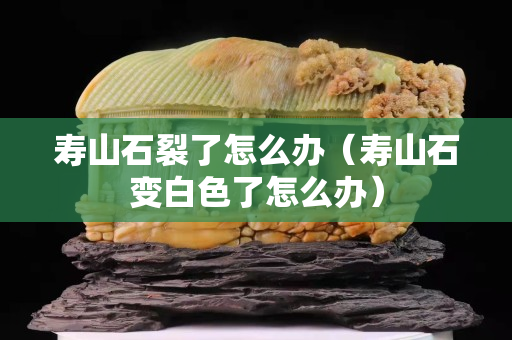 壽山石裂了怎么辦（壽山石變白色了怎么辦）