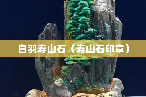 白羽壽山石（壽山石印章）