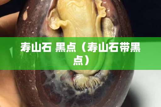 壽山石 黑點（壽山石帶黑點）