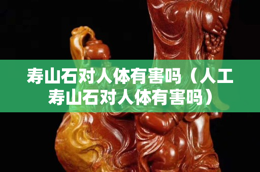 壽山石對人體有害嗎（人工壽山石對人體有害嗎）