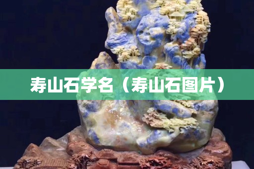 壽山石學(xué)名（壽山石圖片）