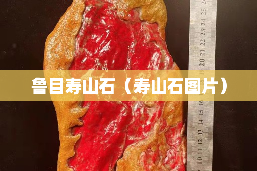 魯目壽山石（壽山石圖片）