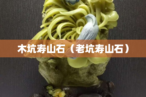 木坑壽山石（老坑壽山石）