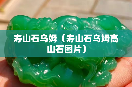 壽山石烏姆（壽山石烏姆高山石圖片）