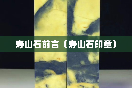 壽山石前言（壽山石印章）