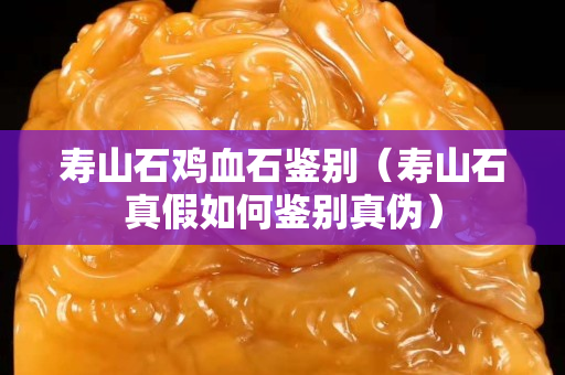 壽山石雞血石鑒別（壽山石真假如何鑒別真偽）
