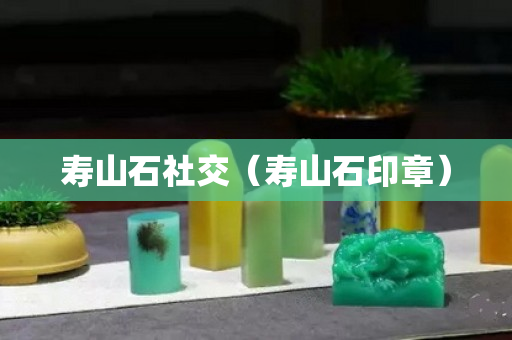 壽山石社交（壽山石印章）