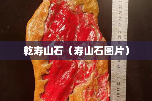乾壽山石（壽山石圖片）