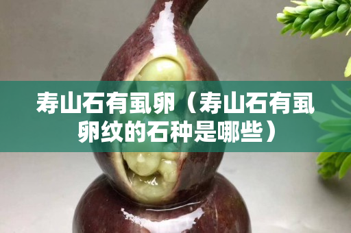 壽山石有虱卵（壽山石有虱卵紋的石種是哪些）