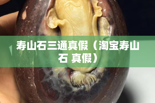 壽山石三通真假（淘寶壽山石 真假）