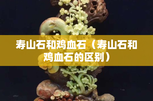 壽山石和雞血石（壽山石和雞血石的區別）