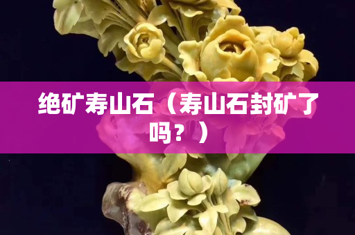 絕礦壽山石（壽山石封礦了嗎？）