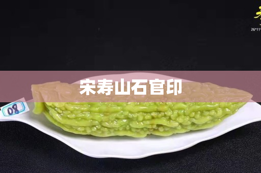 宋壽山石官印