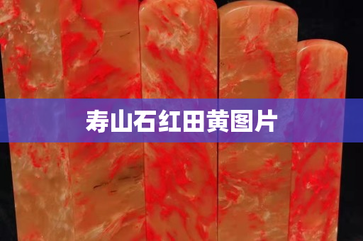 壽山石紅田黃圖片