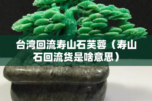 臺灣回流壽山石芙蓉（壽山石回流貨是啥意思）