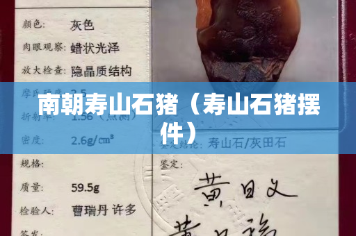 南朝壽山石豬（壽山石豬擺件）