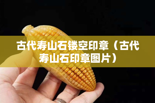 古代壽山石鏤空印章（古代壽山石印章圖片）
