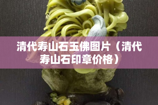 清代壽山石玉佛圖片（清代壽山石印章價格）