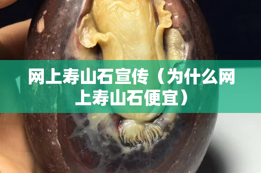網上壽山石宣傳（為什么網上壽山石便宜）