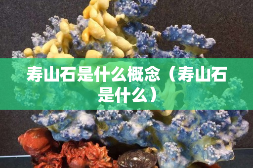 壽山石是什么概念（壽山石是什么）