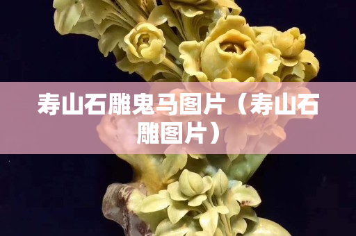 壽山石雕鬼馬圖片（壽山石雕圖片）