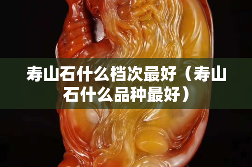壽山石什么檔次最好（壽山石什么品種最好）