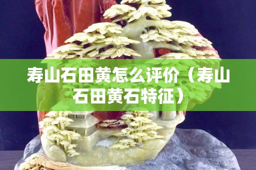 壽山石田黃怎么評(píng)價(jià)（壽山石田黃石特征）