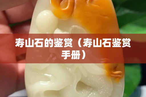 壽山石的鑒賞（壽山石鑒賞手冊(cè)）