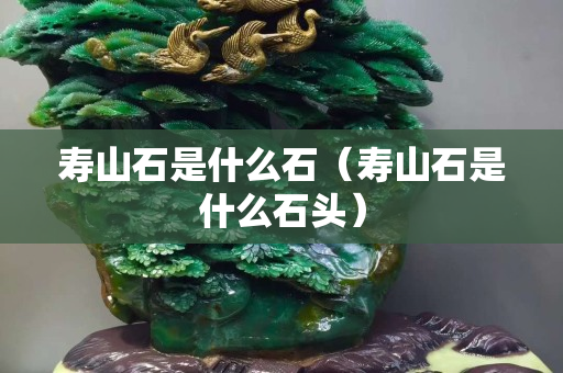 壽山石是什么石（壽山石是什么石頭）