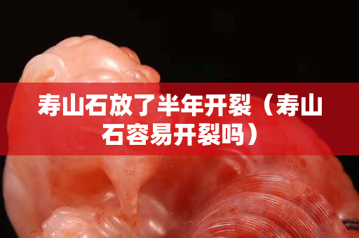 壽山石放了半年開裂（壽山石容易開裂嗎）